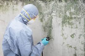 Best Mold Documentation for Insurance Claims  in Louisville, OH